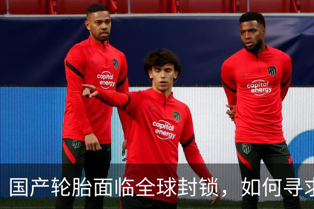 国产轮胎面临全球封锁，如何寻求突破重围？