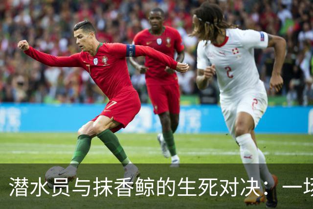 潜水员与抹香鲸的生死对决：一场极限求生之旅
